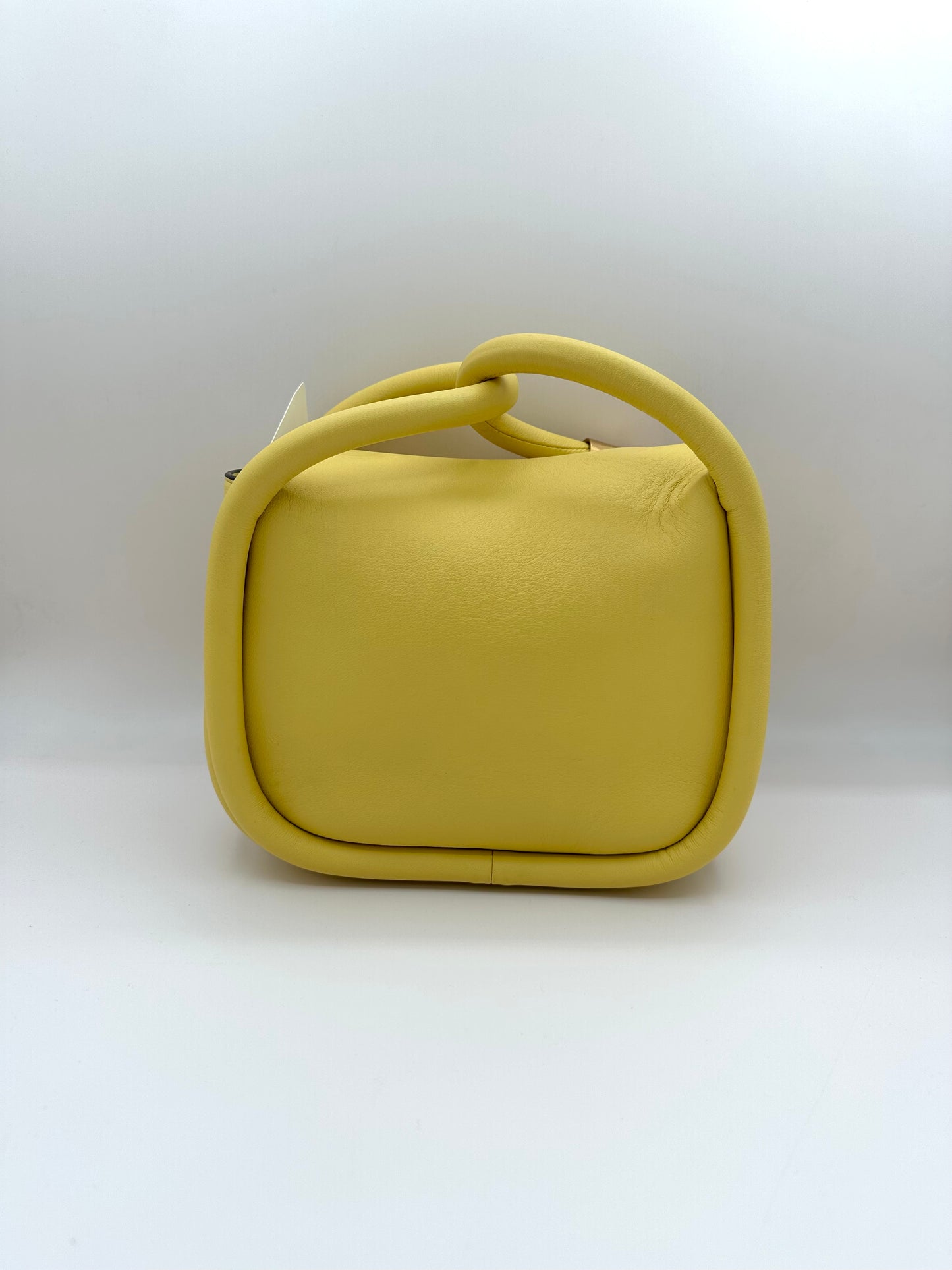 Boyy Yellow Leather 'Wonton 20' Bag